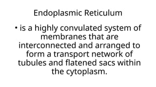 Endoplasmic Reticulum
• is a highly convulated system of
membranes that are
interconnected and arranged to
form a transport network of
tubules and flatened sacs within
the cytoplasm.
 