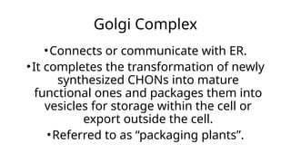 Golgi Complex
•Connects or communicate with ER.
•It completes the transformation of newly
synthesized CHONs into mature
functional ones and packages them into
vesicles for storage within the cell or
export outside the cell.
•Referred to as “packaging plants”.
 