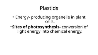 Plastids
• Energy- producing organelle in plant
cells.
•Sites of photosynthesis- conversion of
light energy into chemical energy.
 