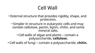 Cell Wall
• External structure that provides rigidity, shape, and
protection.
• Simpler in structure in eukaryotic cells and may
contain cellulose, pectin, lignin, chitin, and some
mineral salts.
• Cell walls of algae and plants – contain a
polysaccharide, cellulose.
• Cell walls of fungi – contain a polysaccharide, chitin.
 