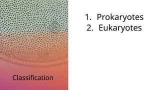 Classification
1. Prokaryotes
2. Eukaryotes
 