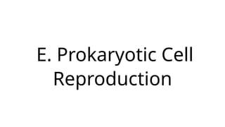 E. Prokaryotic Cell
Reproduction
 
