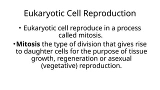 Eukaryotic Cell Reproduction
• Eukaryotic cell reproduce in a process
called mitosis.
•Mitosis the type of division that gives rise
to daughter cells for the purpose of tissue
growth, regeneration or asexual
(vegetative) reproduction.
 
