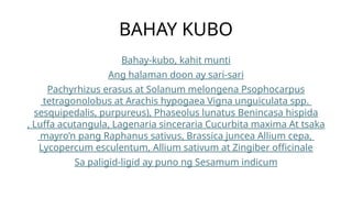 BAHAY KUBO
Bahay-kubo, kahit munti
Ang halaman doon ay sari-sari
Pachyrhizus erasus at Solanum melongena Psophocarpus
tetragonolobus at Arachis hypogaea Vigna unguiculata spp.
sesquipedalis, purpureus), Phaseolus lunatus Benincasa hispida
, Luffa acutangula, Lagenaria sinceraria Cucurbita maxima At tsaka
mayro’n pang Raphanus sativus, Brassica juncea Allium cepa,
Lycopercum esculentum, Allium sativum at Zingiber officinale
Sa paligid-ligid ay puno ng Sesamum indicum
 