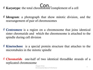 Chapter III revised Understanding the Mechanism | PPT