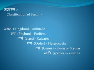 Chapter i introduction to animal kingdom | PPTX