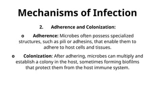 Adhesion Examples Infection Chapter I Introduction to Microbiology & Parasitology.pptx