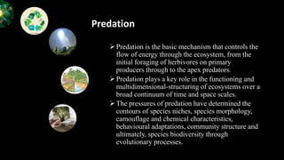 Overpredation Chapter II PPT.pptx