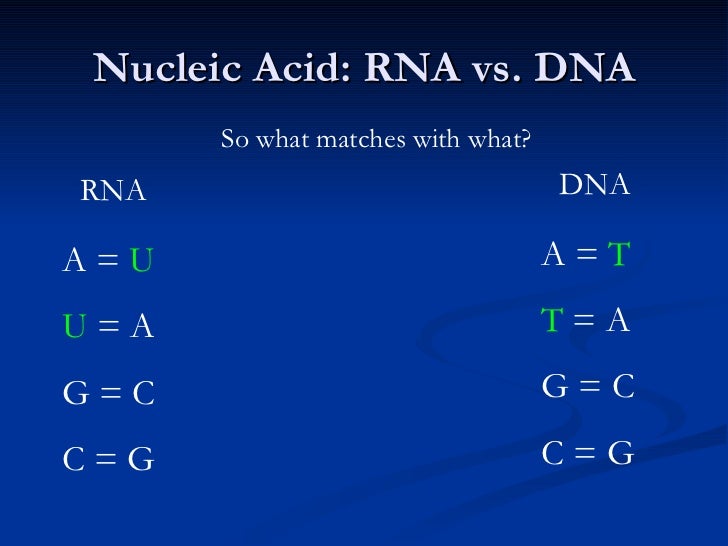 Chapter ii (proteins nucleic acids and atp)