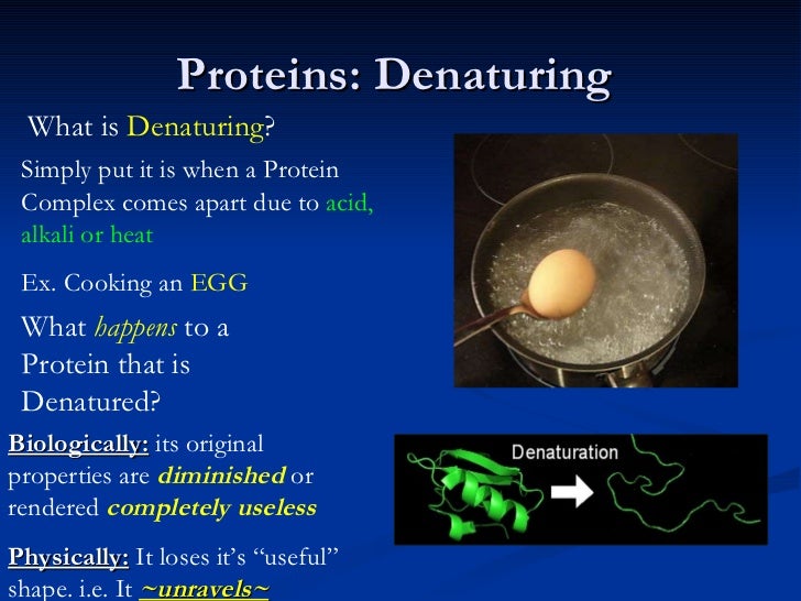 Chapter ii (proteins nucleic acids and atp)