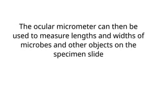 The ocular micrometer can then be
used to measure lengths and widths of
microbes and other objects on the
specimen slide
 