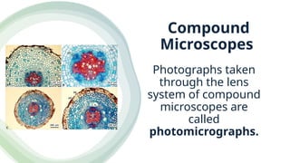 Compound
Microscopes
Photographs taken
through the lens
system of compound
microscopes are
called
photomicrographs.
 