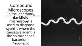 Compound
Microscopes
In the laboratory,
darkfield
microscopy is
used to diagnose
syphilis where the
causative agent is
the spiral-shaped
bacterium,
Treponema
 