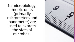 In microbiology,
metric units
(primarily
micrometers and
nanometer) are
used to express
the sizes of
microbes.
 