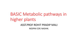 BASIC Metabolic pathways in
higher plants
ASST.PROF ROHIT PRADIP MALI
NGSPM COP, NASHIK.
 