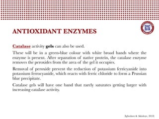 catalase: anti-aging properties, health uses, dosage,... LABORATORY ANALYSIS OF ANTIOXIDANTS IN FOOD | PDF