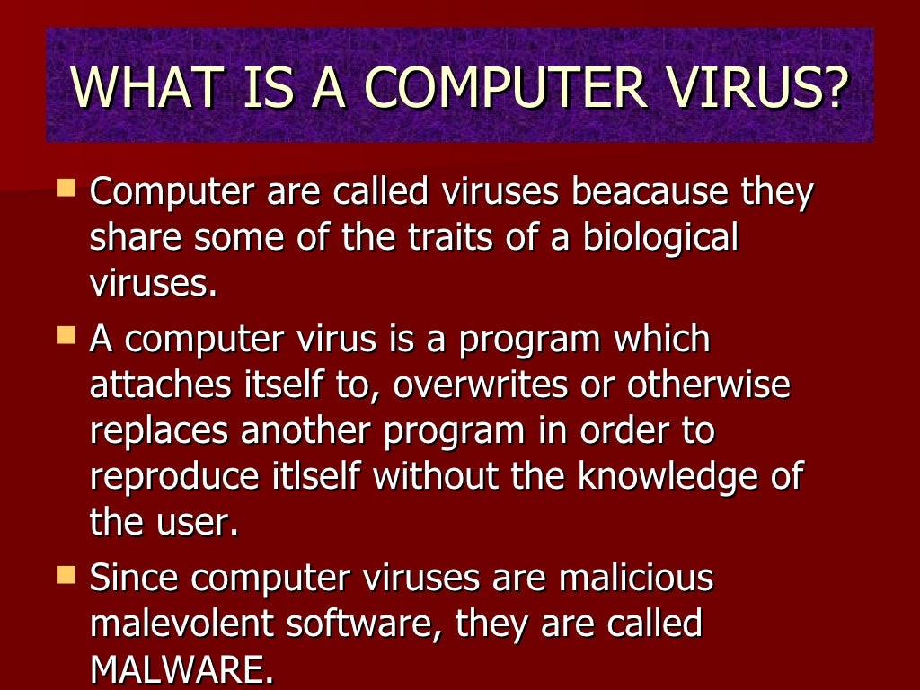 case study of computer virus