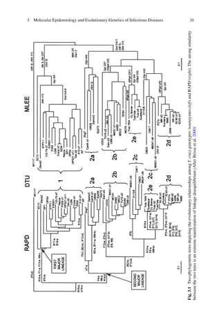 353  Molecular Epidemiology and Evolutionary Genetics of Infectious Diseases
Fig.3.1 TwophylogenetictreesdepictingtheevolutionaryrelationshipsamongT.cruzigenotypes:isoenzymes(left)andRAPD(right).Thestrongsimilarity
betweenthetwotreesisanextrememanifestationoflinkagedisequilibrium(AfterBrisseet al.2000)
 