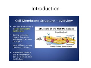 Passage of molecules into and out of cell | PPTX