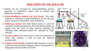 Eucelle Method CHAPTER NO. 4 BRIEF OUTLINE OF IMPORTANT PLANT CONSTITUENTS BY GG | PPTX