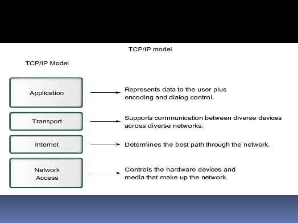 Dissertation Ip Tcp✏️ — Custom essays essay help