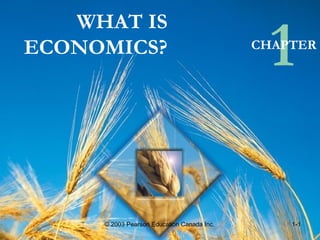 WHAT IS
ECONOMICS?
1CHAPTER
© 2003 Pearson Education Canada Inc. 1-1
 