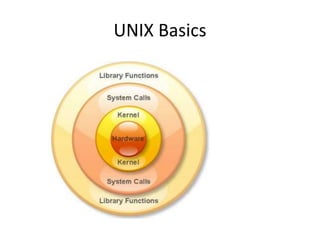 UNIX Basics
 