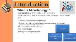 What is Microbiology ?
microorganism or microbe is an organism
that is so small that it is microscopic (invisible to the naked
eye)
– several classes of living beings
• Based on the organization of their cellular structures,
all living cells can be divided
into two groups:
eukaryotic and prokaryotic
Prokaryotes
bacteria & blue green
algae
Eukaryotes
Animals, plants, fungi,
protozoans, and algae
Living beings
 