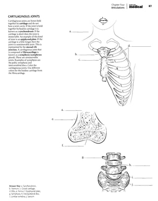 Chapter_One_Introduction_ANATOMICAL_POSI.pdf