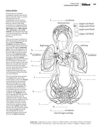 Chapter_One_Introduction_ANATOMICAL_POSI.pdf