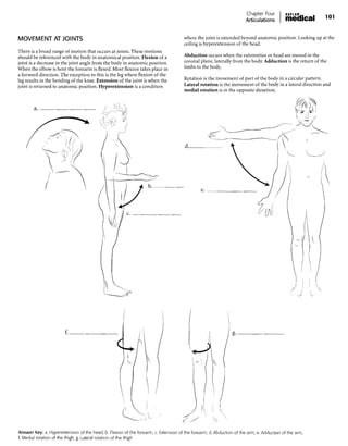 Chapter_One_Introduction_ANATOMICAL_POSI.pdf