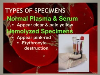 TYPES OF SPECIMENS
Normal Plasma & Serum
 Appear clear & pale yellow
Hemolyzed Specimens
 Appear pink-red
 Erythrocyte
destruction
 