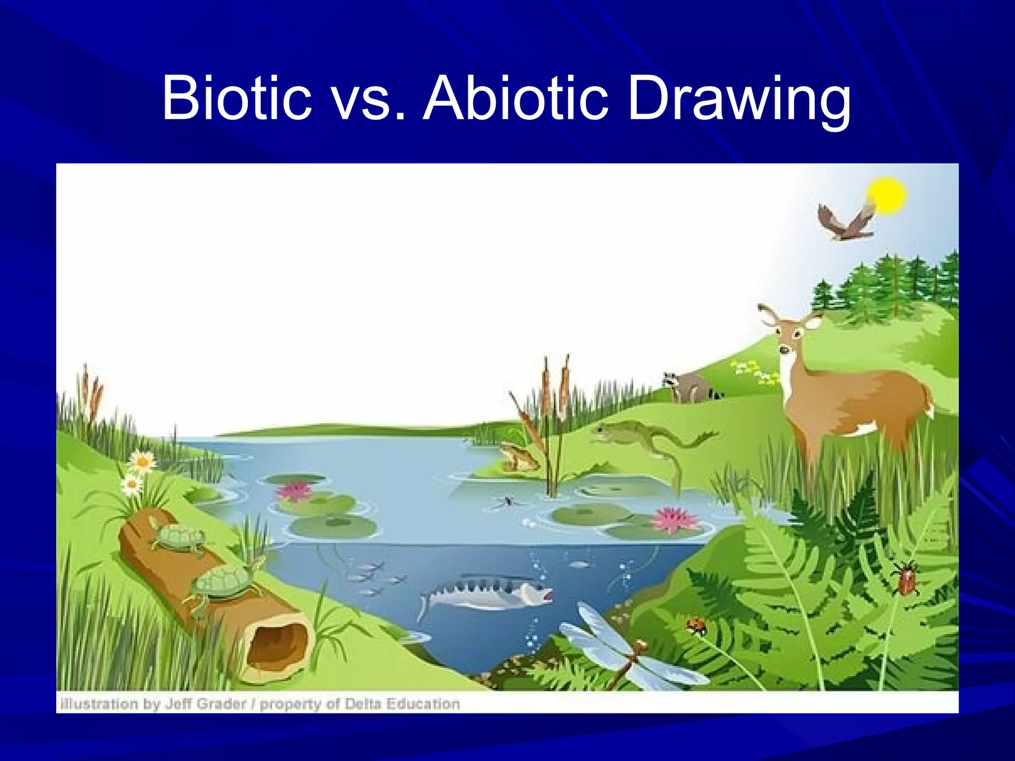 Biotic vs. Abiotic Drawing
 