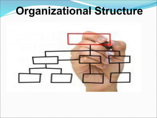 CHAPTER ORGANIZING.ppt