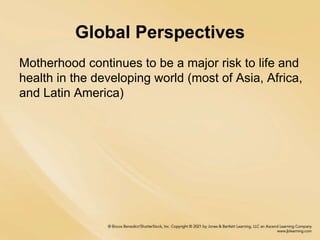 Global Perspectives
Motherhood continues to be a major risk to life and
health in the developing world (most of Asia, Africa,
and Latin America)
 