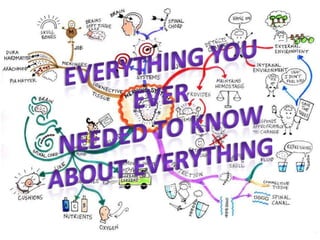 Everything you ever  needed to know  about everything 