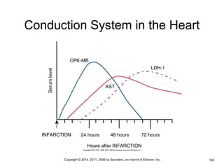 Conduction System in the Heart 
•Copyright © 2014, 2011, 2006 by Saunders, an imprint of Elsevier, Inc. •143 
 