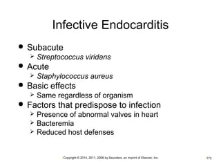 Infective Endocarditis 
 Subacute 
 Streptococcus viridans 
•Copyright © 2014, 2011, 2006 by Saunders, an imprint of Elsevier, Inc. •173 
 Acute 
 Staphylococcus aureus 
 Basic effects 
 Same regardless of organism 
 Factors that predispose to infection 
 Presence of abnormal valves in heart 
 Bacteremia 
 Reduced host defenses 
 