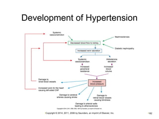 Development of Hypertension 
•Copyright © 2014, 2011, 2006 by Saunders, an imprint of Elsevier, Inc. •182 
 