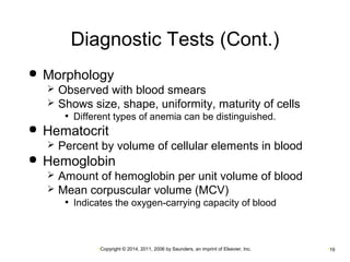 Diagnostic Tests (Cont.) 
 Morphology 
 Observed with blood smears 
 Shows size, shape, uniformity, maturity of cells 
• Different types of anemia can be distinguished. 
 Hematocrit 
 Percent by volume of cellular elements in blood 
 Hemoglobin 
 Amount of hemoglobin per unit volume of blood 
 Mean corpuscular volume (MCV) 
• Indicates the oxygen-carrying capacity of blood 
•Copyright © 2014, 2011, 2006 by Saunders, an imprint of Elsevier, Inc. •19 
 