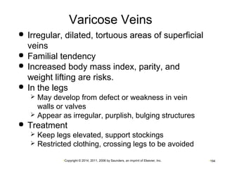 Varicose Veins 
 Irregular, dilated, tortuous areas of superficial 
veins 
 Familial tendency 
 Increased body mass index, parity, and 
weight lifting are risks. 
 In the legs 
 May develop from defect or weakness in vein 
walls or valves 
 Appear as irregular, purplish, bulging structures 
 Treatment 
 Keep legs elevated, support stockings 
 Restricted clothing, crossing legs to be avoided 
•Copyright © 2014, 2011, 2006 by Saunders, an imprint of Elsevier, Inc. •194 
 