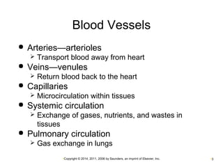 Blood Vessels 
 Arteries—arterioles 
 Transport blood away from heart 
 Veins—venules 
 Return blood back to the heart 
 Capillaries 
 Microcirculation within tissues 
 Systemic circulation 
 Exchange of gases, nutrients, and wastes in 
tissues 
 Pulmonary circulation 
 Gas exchange in lungs 
•Copyright © 2014, 2011, 2006 by Saunders, an imprint of Elsevier, Inc. •3 
 
