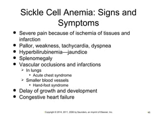 Sickle Cell Anemia: Signs and 
Symptoms 
 Severe pain because of ischemia of tissues and 
infarction 
 Pallor, weakness, tachycardia, dyspnea 
 Hyperbilirubinemia—jaundice 
 Splenomegaly 
 Vascular occlusions and infarctions 
•Copyright © 2014, 2011, 2006 by Saunders, an imprint of Elsevier, Inc. •45 
 In lungs 
• Acute chest syndrome 
 Smaller blood vessels 
• Hand-foot syndrome 
 Delay of growth and development 
 Congestive heart failure 
 