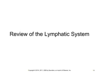Review of the Lymphatic System 
•Copyright © 2014, 2011, 2006 by Saunders, an imprint of Elsevier, Inc. •71 
 