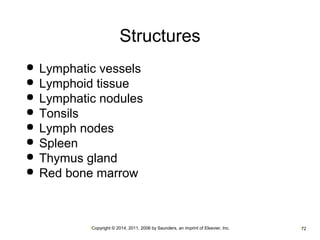 Structures 
 Lymphatic vessels 
 Lymphoid tissue 
 Lymphatic nodules 
 Tonsils 
 Lymph nodes 
 Spleen 
 Thymus gland 
 Red bone marrow 
•Copyright © 2014, 2011, 2006 by Saunders, an imprint of Elsevier, Inc. •72 
 