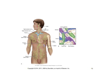 •Copyright © 2014, 2011, 2006 by Saunders, an imprint of Elsevier, Inc. •73 
 
