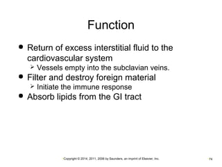 Function 
 Return of excess interstitial fluid to the 
cardiovascular system 
 Vessels empty into the subclavian veins. 
 Filter and destroy foreign material 
 Initiate the immune response 
 Absorb lipids from the GI tract 
•Copyright © 2014, 2011, 2006 by Saunders, an imprint of Elsevier, Inc. •74 
 