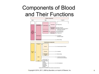 Components of Blood 
and Their Functions 
•Copyright © 2014, 2011, 2006 by Saunders, an imprint of Elsevier, Inc. •8 
 