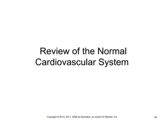 Review of the Normal 
Cardiovascular System 
•Copyright © 2014, 2011, 2006 by Saunders, an imprint of Elsevier, Inc. •93 
 