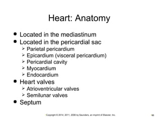 Heart: Anatomy 
 Located in the mediastinum 
 Located in the pericardial sac 
 Parietal pericardium 
 Epicardium (visceral pericardium) 
 Pericardial cavity 
 Myocardium 
 Endocardium 
 Heart valves 
 Atrioventricular valves 
 Semilunar valves 
•Copyright © 2014, 2011, 2006 by Saunders, an imprint of Elsevier, Inc. •96 
 Septum 
 